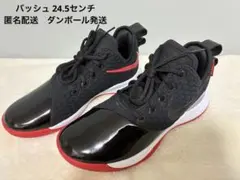 NIKE LEBRON WITNESS バッシュ 24.5 センチ キッズ