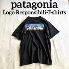 patagonia パタゴニア　Tシャツ　バックプリント　レスポンシビリティー