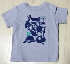 ★patagonia★　パタゴニアTシャツ　サイズ2T
