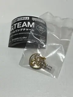 &TEAM ネームリングチャーム　NICHOLAS