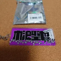 Item thumbnail for item 2a08bd83-2f19-42b1-a053-4b41d6a9abbf