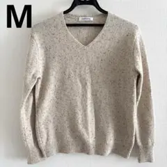 NEWYORKER ニューヨーカー ラメ Vネック ニット M ベージュ