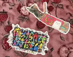 B-SIDE LABEL ネコイベント限定２枚セット　現在入手困難