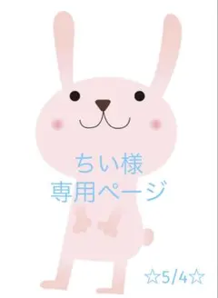 ちい様専用ページ