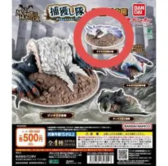 2026年最新】タマミツネ希少種の人気アイテム - メルカリ