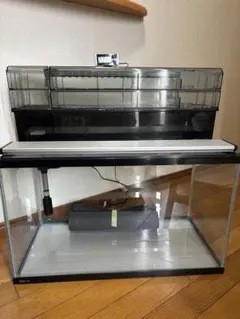 2025年最新】オーバーフロー水槽 60の人気アイテム - メルカリ