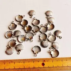 貝殻　チャーム　シルバー　小