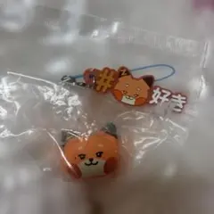 マシュー★ZB1★ぷくっとリング、キーホルダーセット