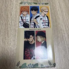 ハイキュー　東武動物園コラボ　クリアファイル