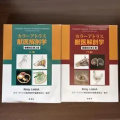 カラーアトラス　獣医解剖学　上下巻セット Amazon.co.jp: カラ-アトラス獣医解剖学 (上巻) : Horst Erich Konig