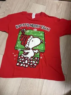 アメリカ　スヌーピー　Tシャツ　レア物