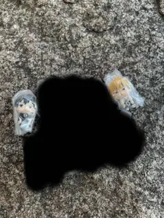 専用ページ