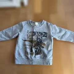 ハッシュアッシュ　トレーナー　100