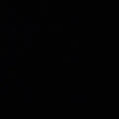 ショルダーバッグ♪