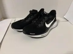 Nike Pegasus41 27.0cm Wide ブラック