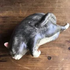 サバ白猫　眠り猫　作家サイン
