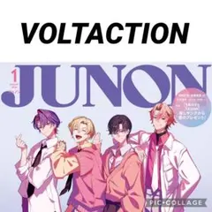 JUNON 1月号 VOLTACTION 切り抜き