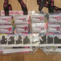 カレイドライダー　免許コンプリートセット　16点