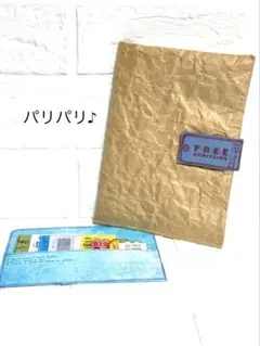 おすそ分けファイル　コラージュ素材収納　クラフトポーチ　チケット