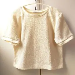 ザラ　ZARA サマーニット　クロップド
