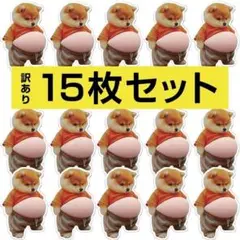 【訳あり】15枚 柴犬 ぷにぷに シール おなか 立体 ぷっくり シール帳 イヌ