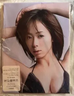 井上和香　抱き枕カバー　90cm×45cm 2wayトリコット