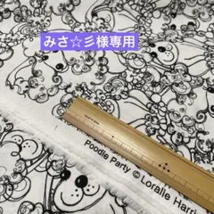 レイ♡様専用 リッチェル バラ鉢 7個（内5個 中古, 2個 未使用