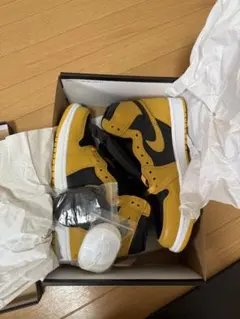 Nike Air Jordan 1 High OG 
