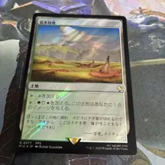 MTG 低木林地　サージfoil