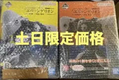 一番くじ　エヴァンゲリオン 使徒襲来 B賞&ラストワン賞第4の使徒