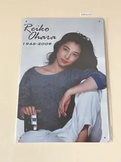 大原麗子 ブリキ看板 インテリア 昭和レトロ