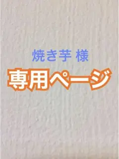 焼き芋 様 専用*️⃣ アイロンビーズ ２０００【 ゆうゆう便】