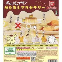 ポムポムプリン　めじるしアクセサリー セミコンプ