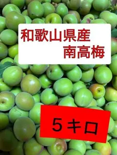 南高梅　５キロのサムネイル