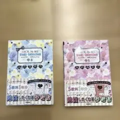 セシルマクビースタディコレクション中2 : 英語 数学 国語 理科 社会