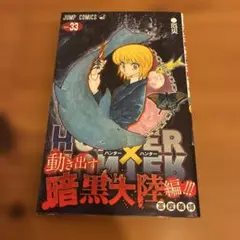 ハンター×ハンター 33巻 - メルカリ