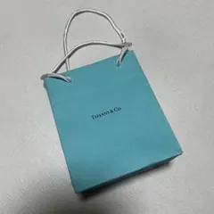 Tiffany & Co. ティファニー ショップ袋 ブルー ギフトバッグ