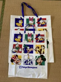 東京ディズニーランド ショップ袋 2枚セット レトロ 当時物 大サイズ 希少