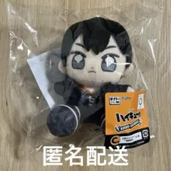 2026年最新】一番くじ ハイキュー ぬいぐるみの人気アイテム - メルカリ