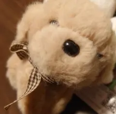 Item thumbnail for item 76b07250-9a6c-40ed-9010-f0679f21c29b