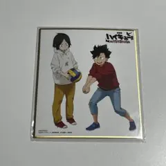 ハイキュー 黒尾鉄朗 孤爪研磨 色紙