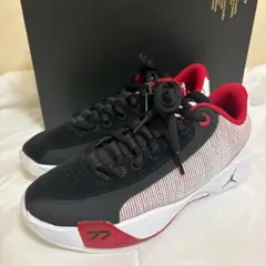 Jordan Luka 5 29cm US11 バッシュ ジョーダン ルカ5 - メルカリ