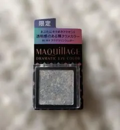 MAQuillAGE ドラマティックアイカラー BL164 限定品