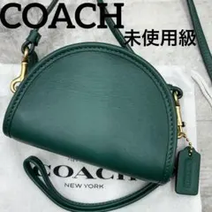 【極美品】COACHオールドコーチ ショルダーバッグ レザー ダークグリーン OLD COACH オールドコーチ 4141 レザー ショルダーバッグ 深緑