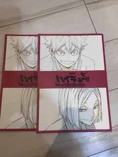 ハイキュー!! 劇場版　ハイキュー　ゴミ捨て場の決戦　映画特典　入場特典