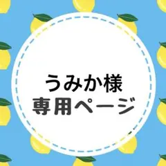 うみか様専用ページ