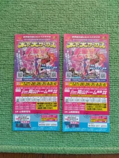 【岡山】2026年木下大サーカス/期日指定【無料券】夏休み/2枚セット/送料無料のサムネイル