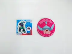 テラパゴス ミブリム ポケモン スナック ヌードル シール 2枚セット