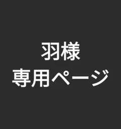 専用ページ