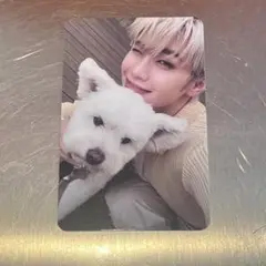 zb1 ゼベワン digipack 封入 犬 レオ トレカ デジパック テレ